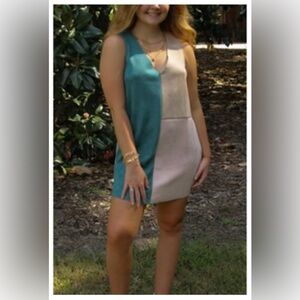 NWT: Colorblock Faux Suede Mini Dress
